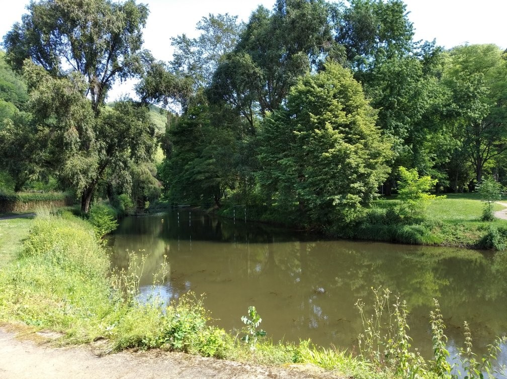 Img 20240612 103259